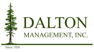 Dalton Logo Color